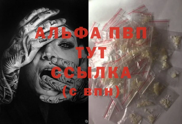 гидра Рославль