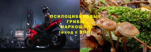 a pvp Богородск