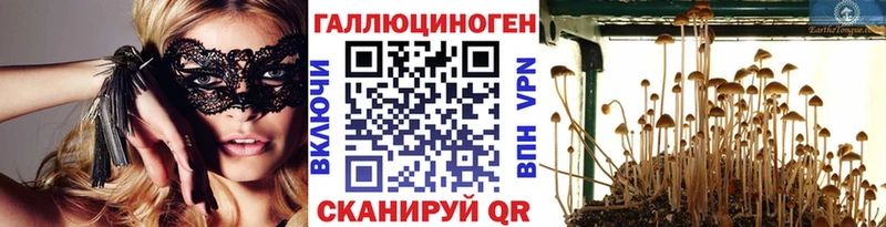 Галлюциногенные грибы Psilocybine cubensis  магазин продажи наркотиков  Буй 